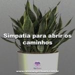 Simpatia para abrir os caminhos no amor e na área financeira