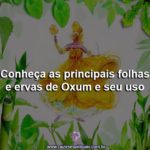 Conheça as principais folhas e ervas de Oxum e seu uso