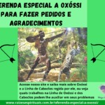 Oferenda especial a Oxóssi para fazer pedidos e agradecimentos